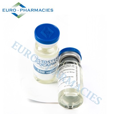 Testosterone Isocaproate - 100mg/ml 10ml/vial - Euro-Pharmacies