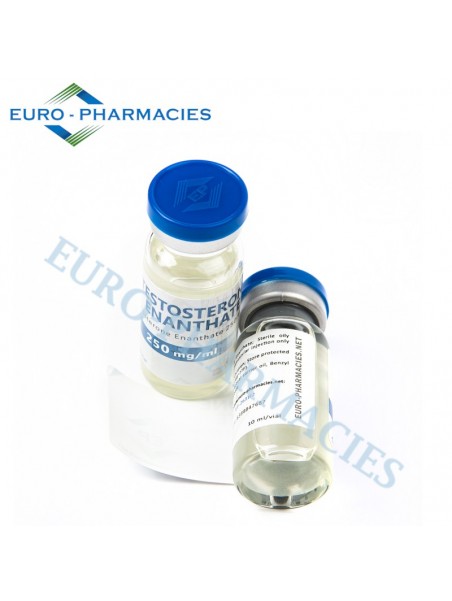Testosterone Enanthate - 250mg/ml 10ml/vial - Euro-Pharmacies - USA